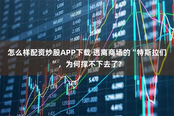 怎么样配资炒股APP下载 逃离商场的“特斯拉们”，为何撑不下去了?